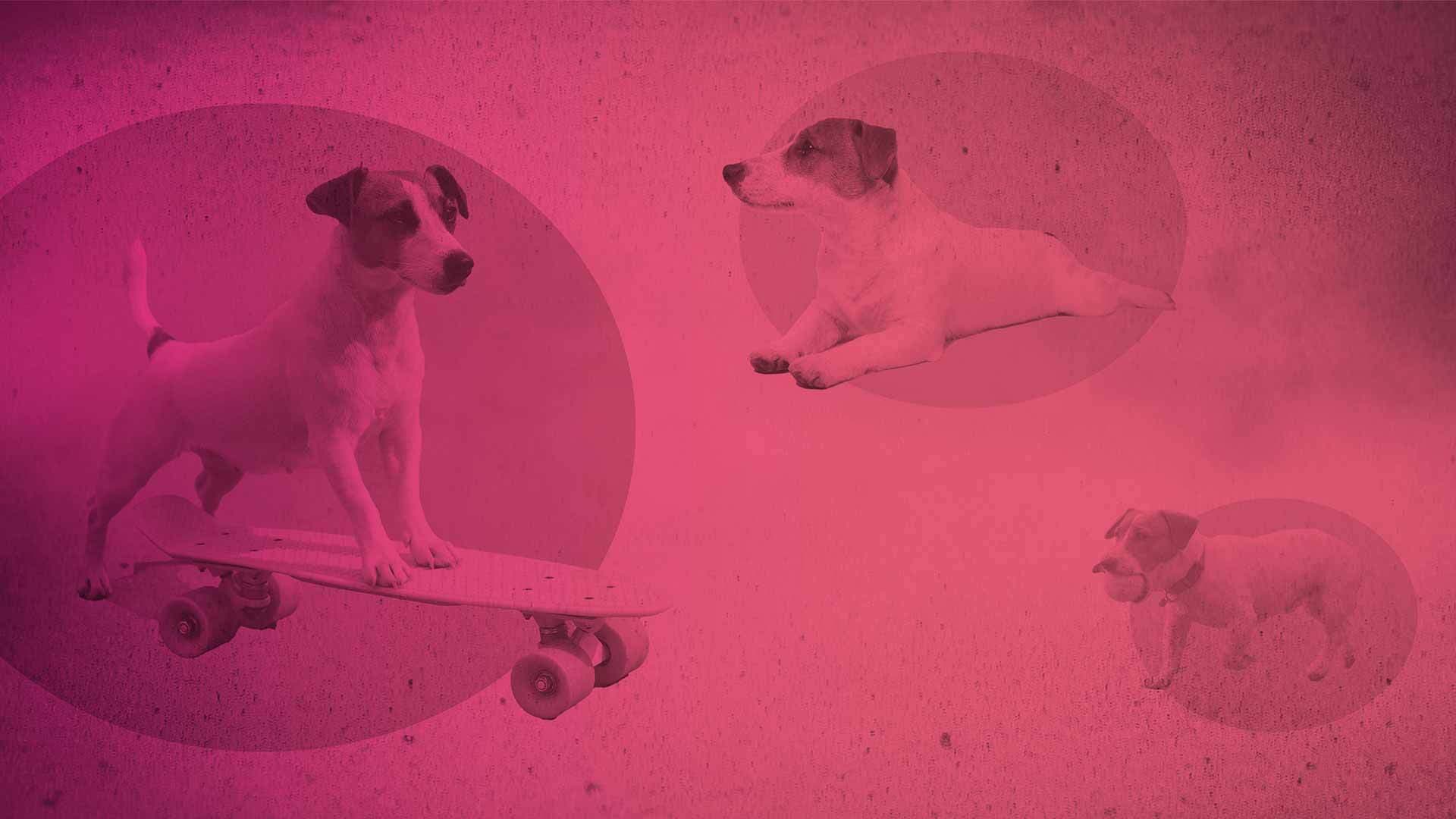 Croc blog Future image 1920x1080